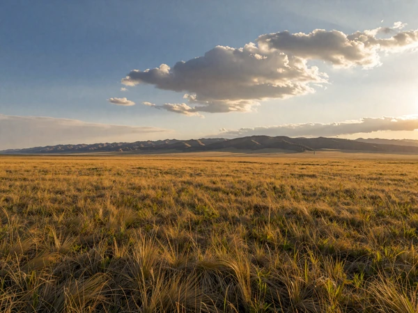 Vast Kazakh steppe landscape showcasing Kazakhstan's expansive beauty